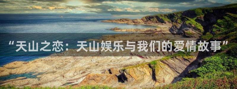 新领航国际