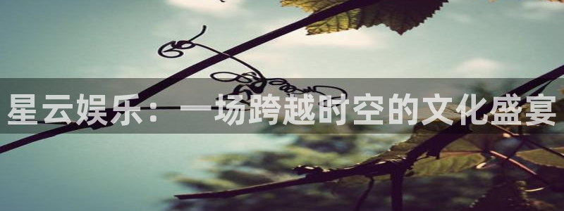 领航国际链接